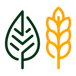Silva Finance logo